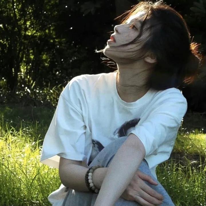 米歇尔先生的狗